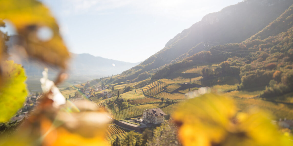Herbst in den Weinbergen von Tramin
