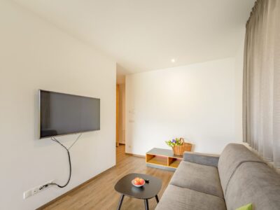 49 Zoll Fernseher in der Wohnung Mediterran im Tholr Hof Tramin 49 Zoll Fernseher in der Wohnung Mediterran im Tholr Hof Tramin