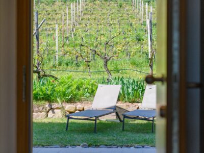 Liegewiese vor der Wohnung WeinLaub Liegewiese vor der Wohnung WeinLaub